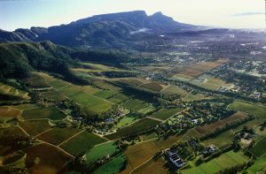 constantia