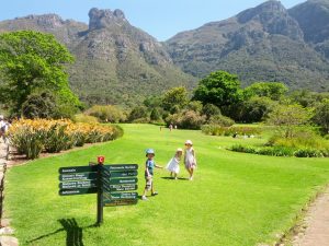Kirstenbosch Gardens