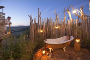 safari Cape Town