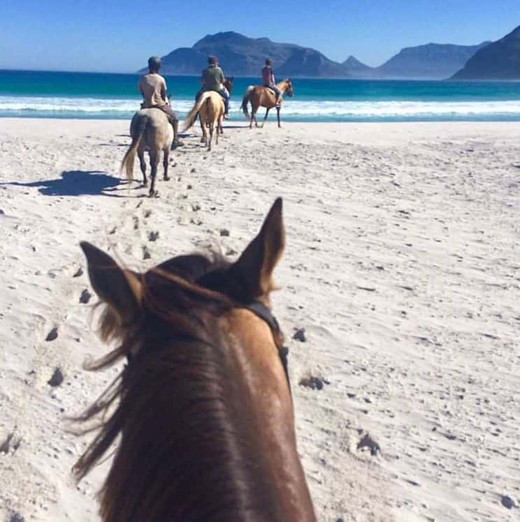 Cavalcare in spiaggia Cape Town 