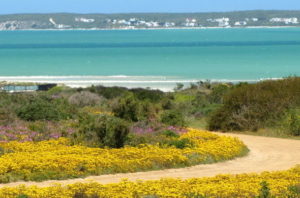 West Coast National Park Cape Town