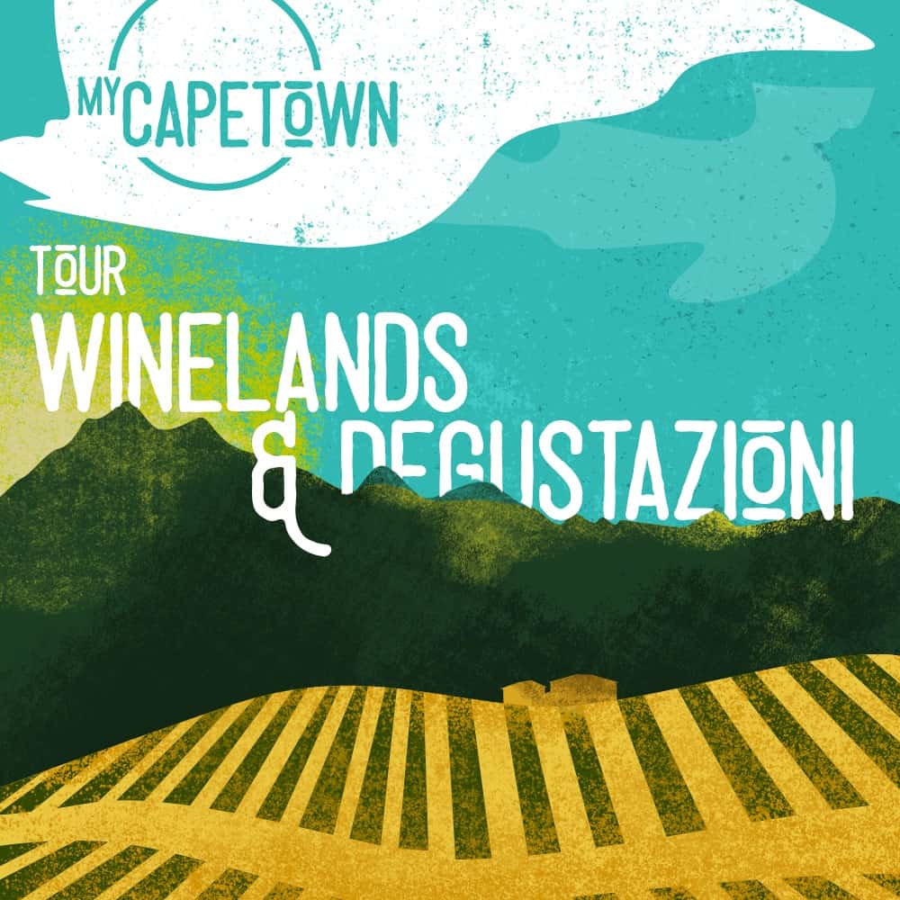 Tour nelle Winelands in Sudafrica