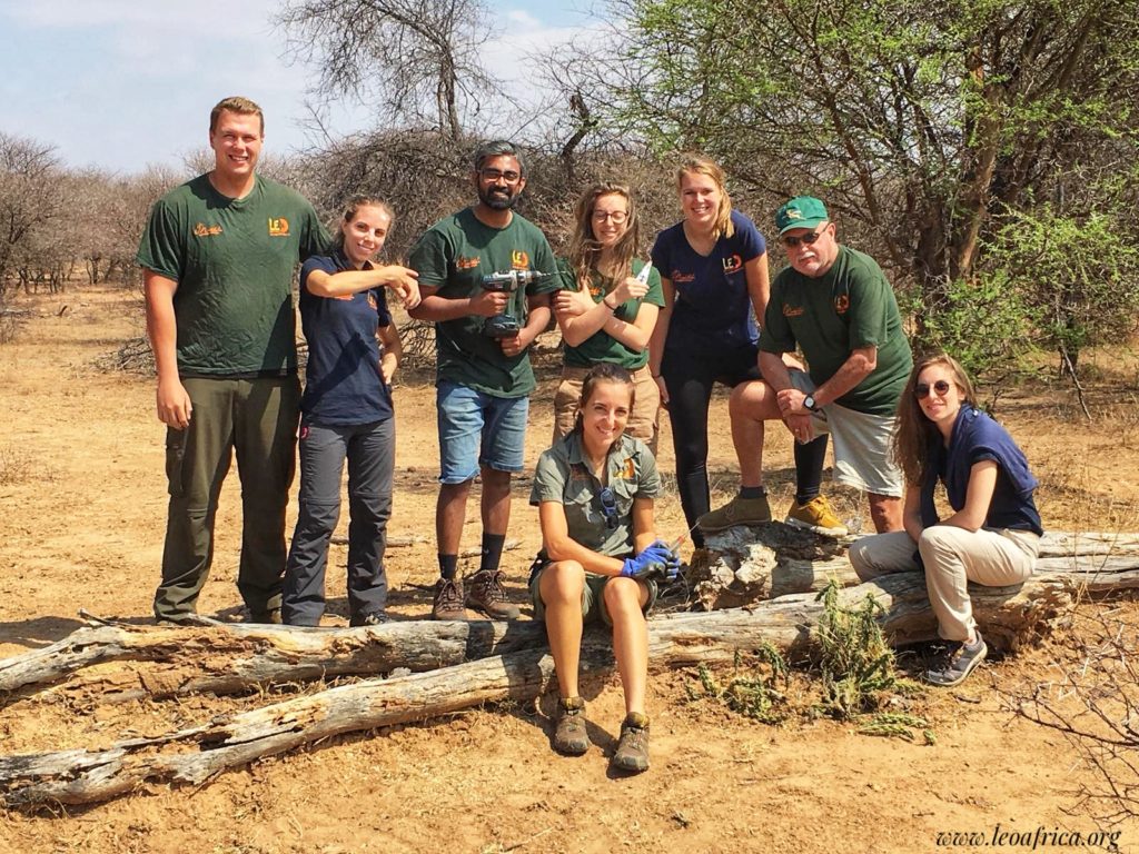 Fare volontariato con gli animali in Sudafrica