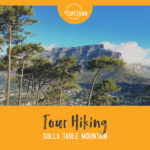 Tour Hiking sulla Table Mountain