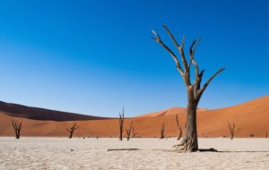Viaggio in Namibia itinerario