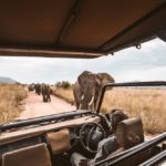 Safari elefanti Botswana