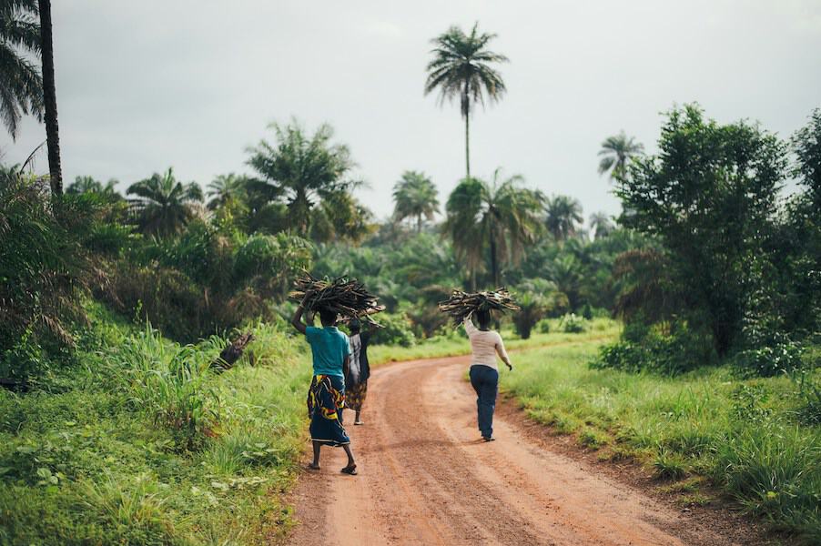 biodiversità sudafrica