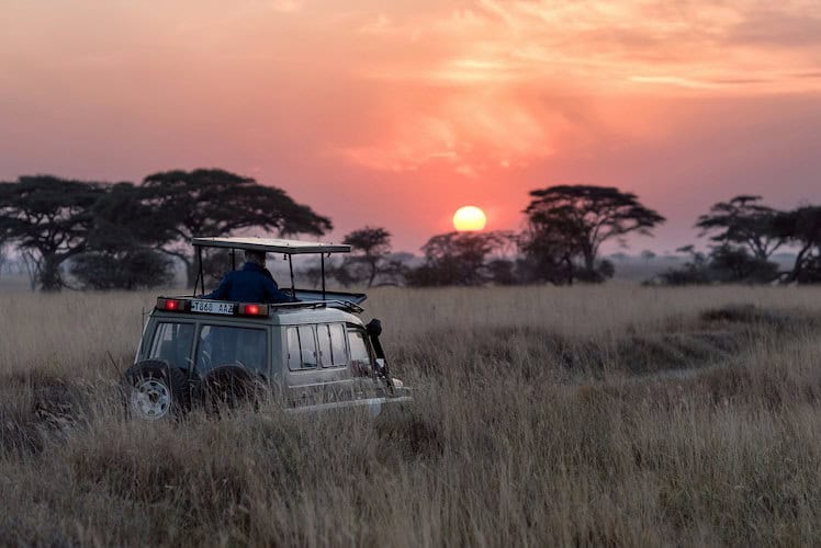 safari sudafrica