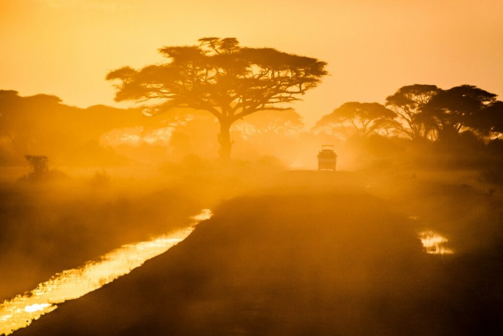 safari sudafrica